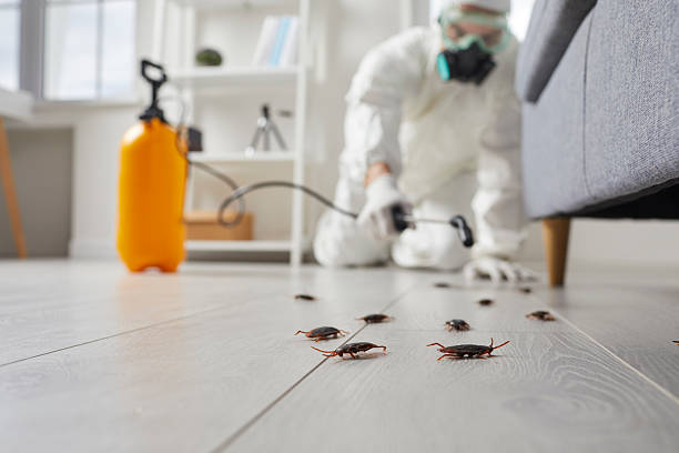 Commercial Kitchen Cockroach Control in Marrero